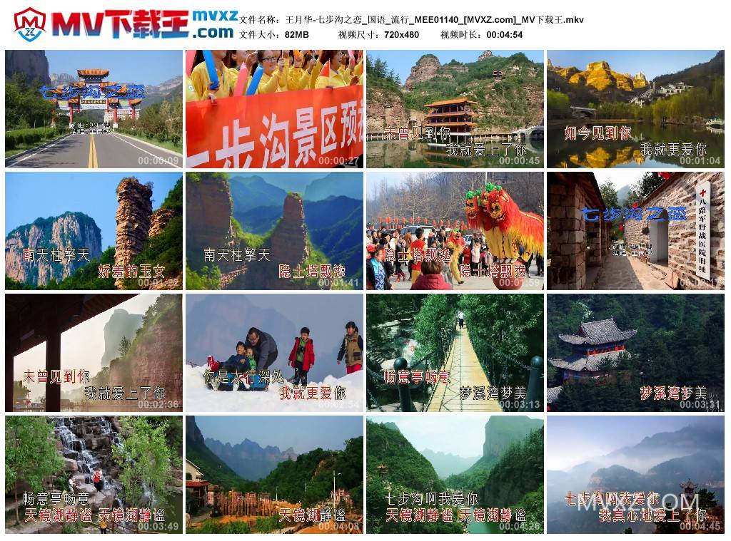 王月华-七步沟之恋_国语_流行_MEE01140